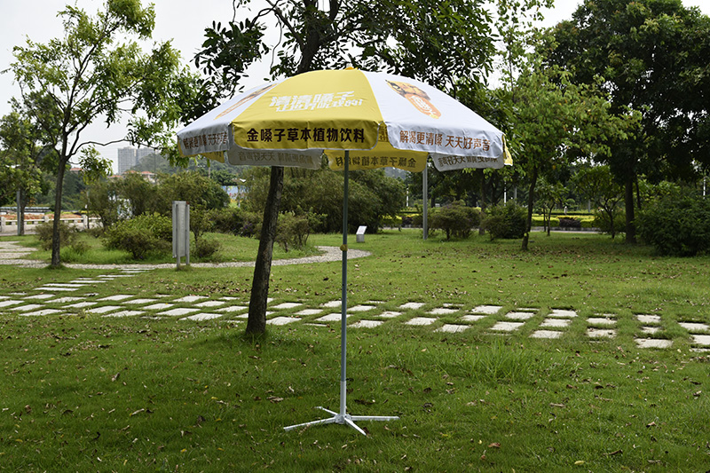 Beach Umbrella (1)