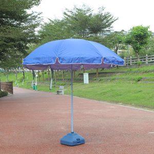 Beach Umbrella (2)