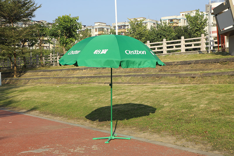 Beach Umbrella (9)